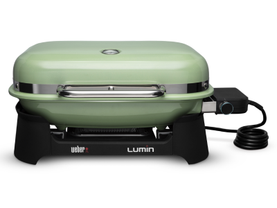 26" Weber Portable Electric Grill in Light Green - 92070901