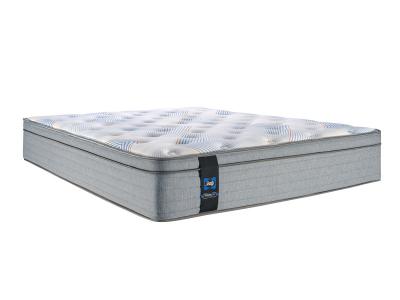 Sealy 1000 Series Euro Top Queen Mattress - GWYNNE Euro Top (Queen)