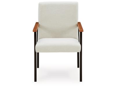 Signature Design by Ashley® Dressonni Dining Chair (Set of 2) - D790-02AX2