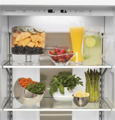 48" Monogram Built-In Professional Side-By-Side Refrigerator with Dispenser - ZISP480DKSS