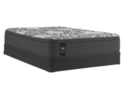 Sealy 1000 Series Queen Size Eurotop Firm Mattress - HallII (Queen)