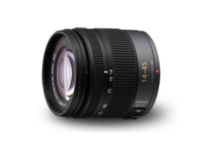 Panasonic Lumix G Vario Standard Lens - HFS014045