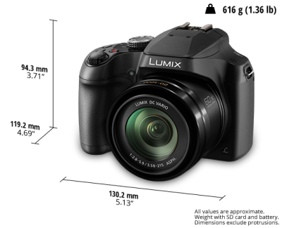 Panasonic Ultra Wide and Dynamic Zoom Digital Camera - DCFZ80