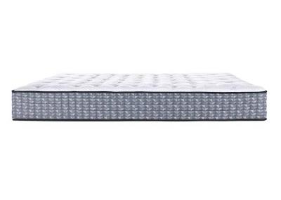 Sealy Fame Tight Top  Twin Mattress - Fame Tight Top (Twin)