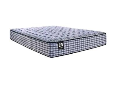 Sealy Insightful Tight Top Queen Mattress - Insightful Tight Top (Queen)